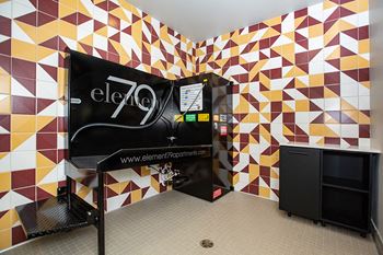 Pet grooming station